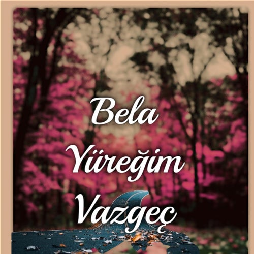 Yüreğim Vazgeç