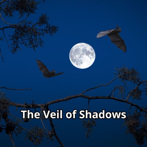 The Veil of Shadows