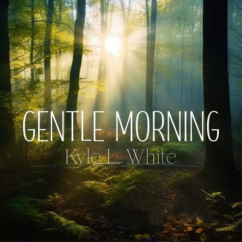 Gentle Morning
