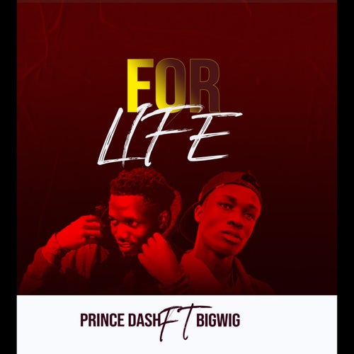 Release of the week