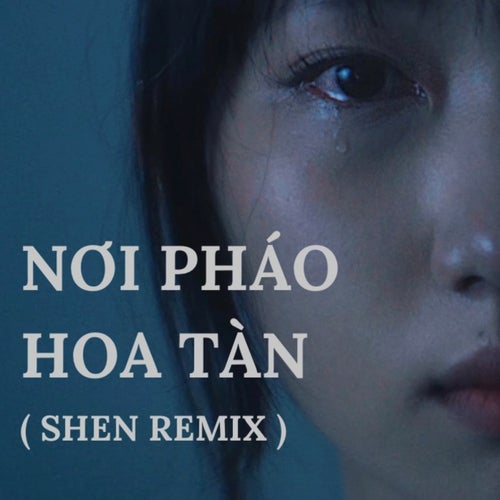 Nơi Pháo Hoa Tàn (SHEN Remix)