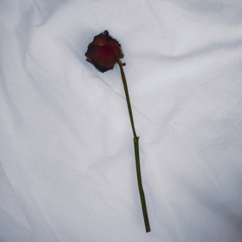 Unlucky In Love