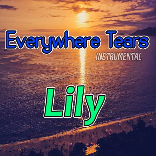 Everywhere Tears (Instrumental)