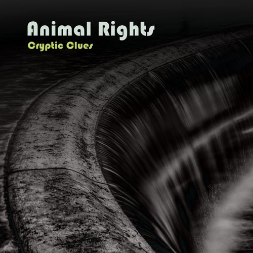 Animal Rights