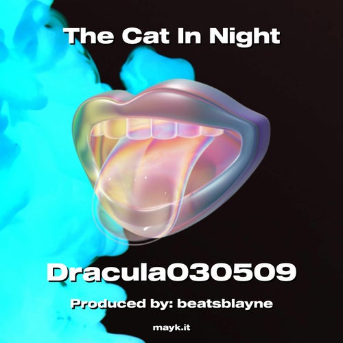 The Cat In Night
