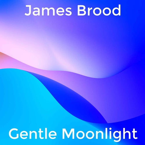 Gentle Moonlight