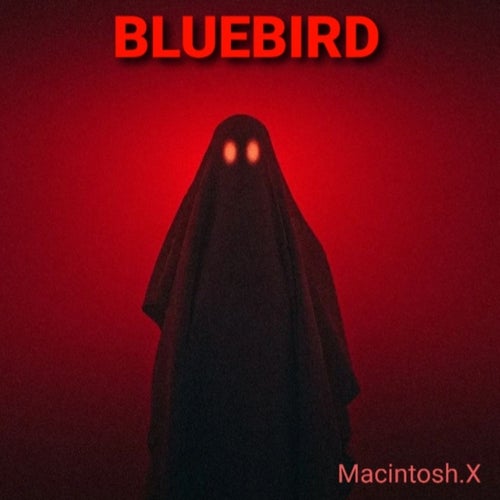 Release of the week