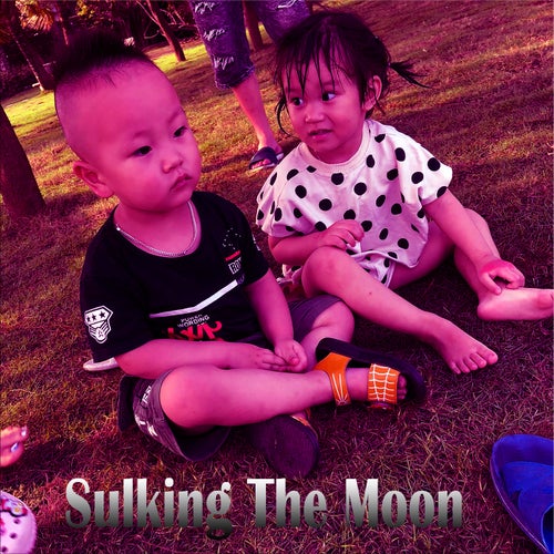 Sulking The Moon (Beat)