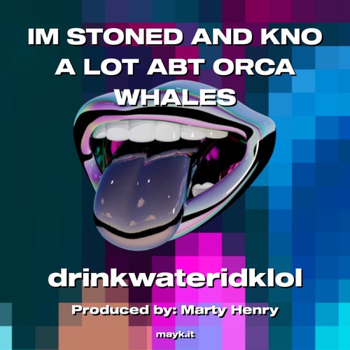 IM STONED AND KNO A LOT ABT ORCA WHALES