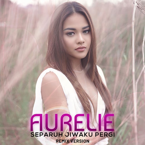 Separuh Jiwaku Pergi (Dance Mix)