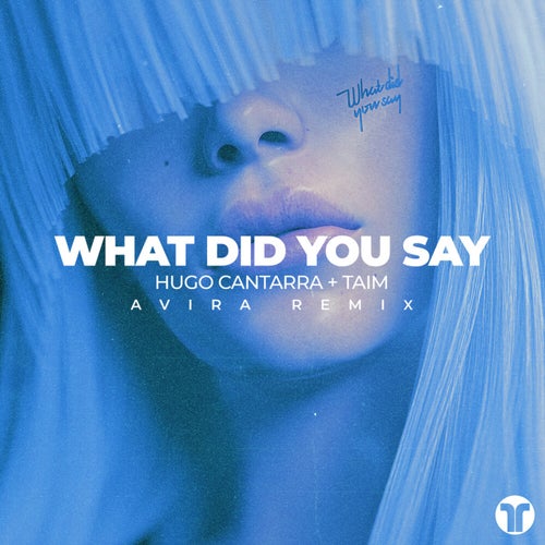 What Did You Say (AVIRA Extended Remix)