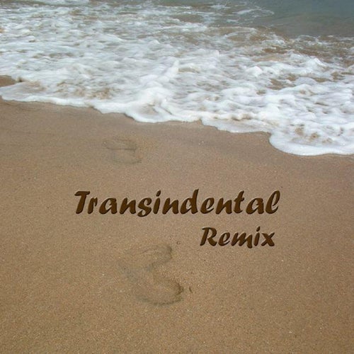 Transindental Remix