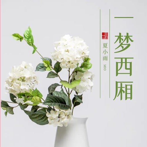 一夢西廂