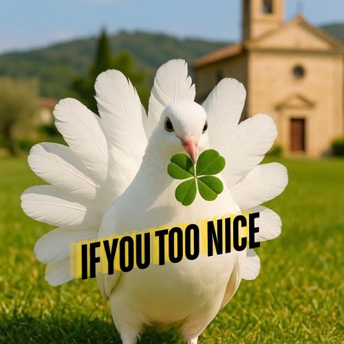 If You Too Nice