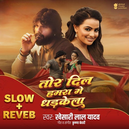 Tor Dil Hamra Me Dhadkela (Slow Reverb)