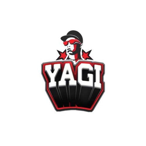 YAGI Profile