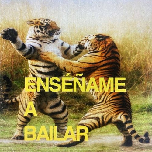 ENSEÑAME A BAILAR