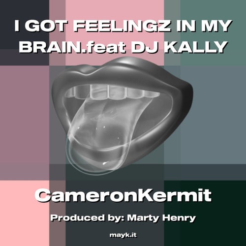 I GOT FEELINGZ IN MY BRAIN.feat DJ KALLY
