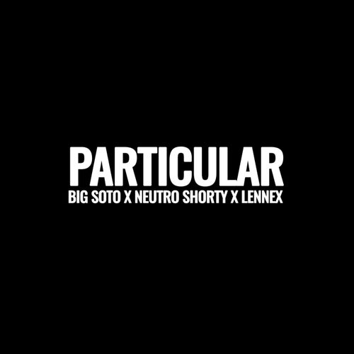 PARTICULAR
