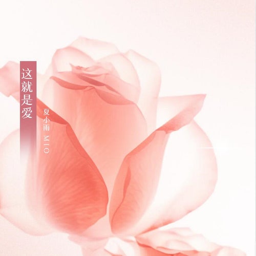 這就是愛