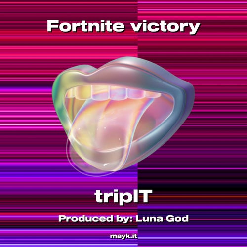 Fortnite victory