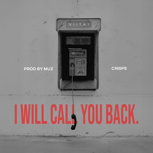 I Will Call You Back