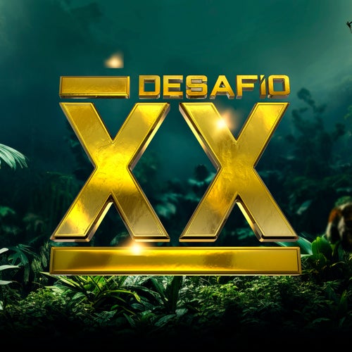 Desafío XX