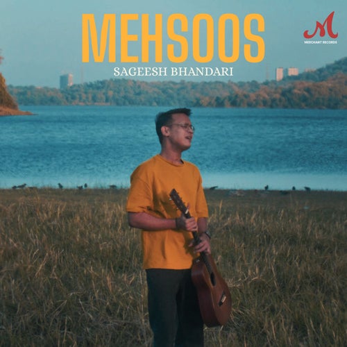 Mehsoos
