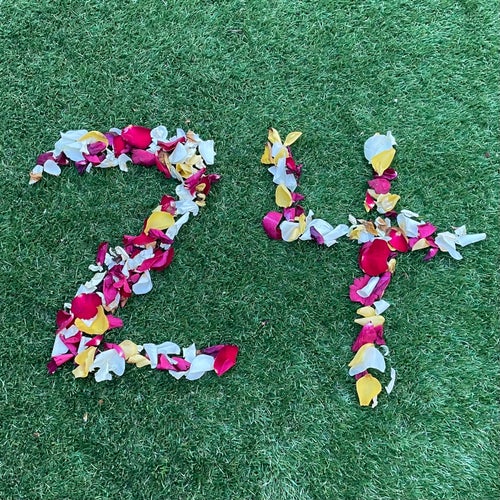 24