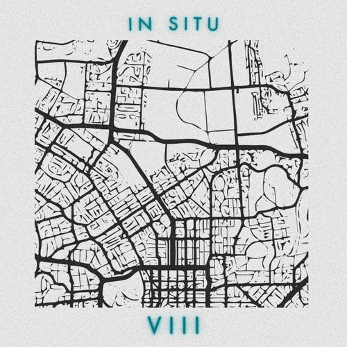 In Situ: VIII