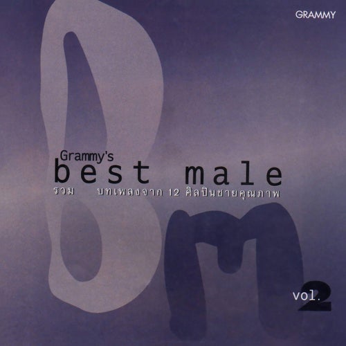 Best Male, Vol. 2