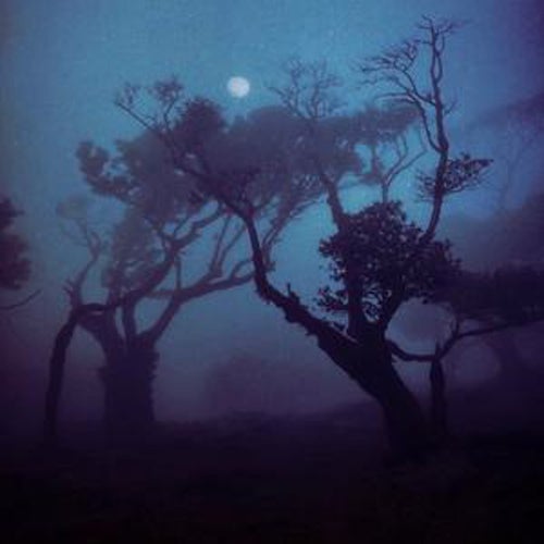 Twilight