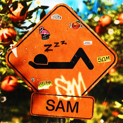 SAM