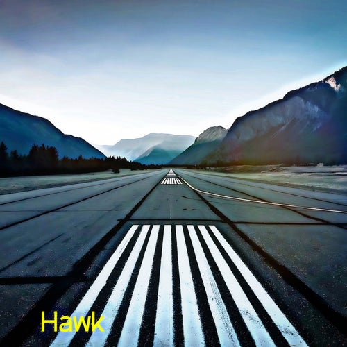 Hawk