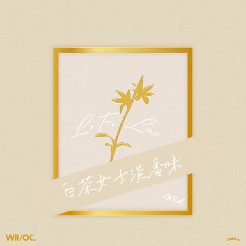 白茶女士淡香味
