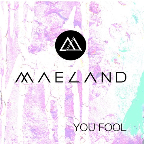You Fool (Radio Edit)