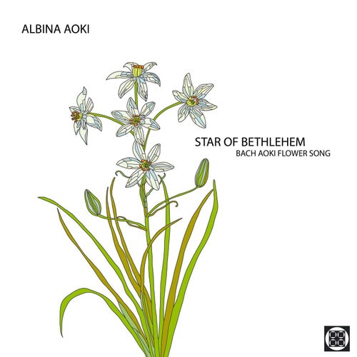 Star of Bethlehem (Bach Aoki Flower Song)
