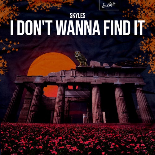 I Don't Wanna Find It
