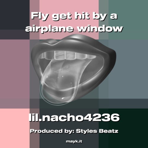 Fly get hit by a airplane window
