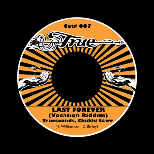 Last Forever (Vocation Riddim)