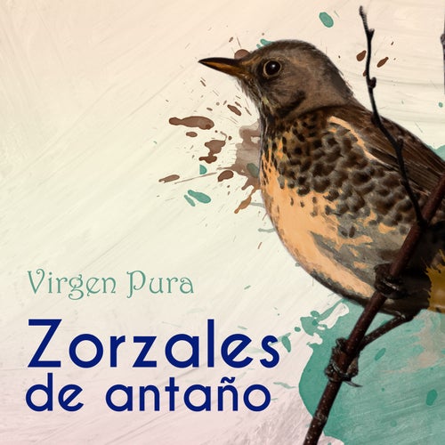 Zorzales de Antaño…Virgen Pura