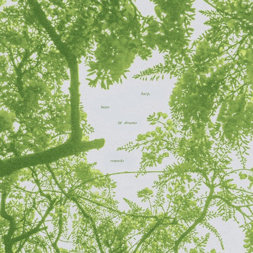 care to care (feat. Plumm) (Oliver Palfreyman rework)