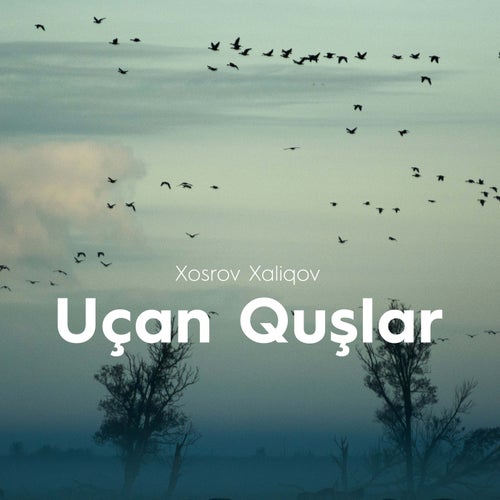 Uçan Quşlar