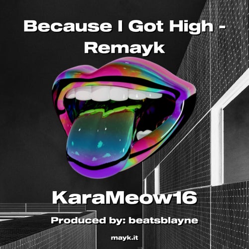 Because I Got High - Remayk