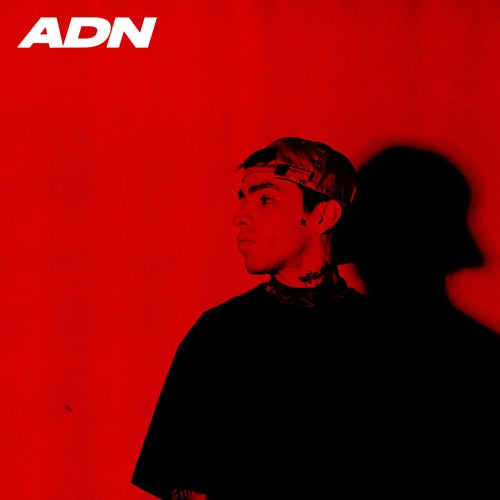 A.D.N