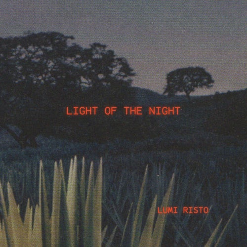 Light of the Night