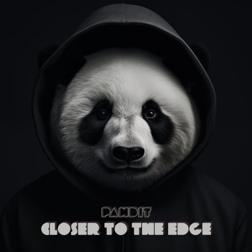 Release of the week