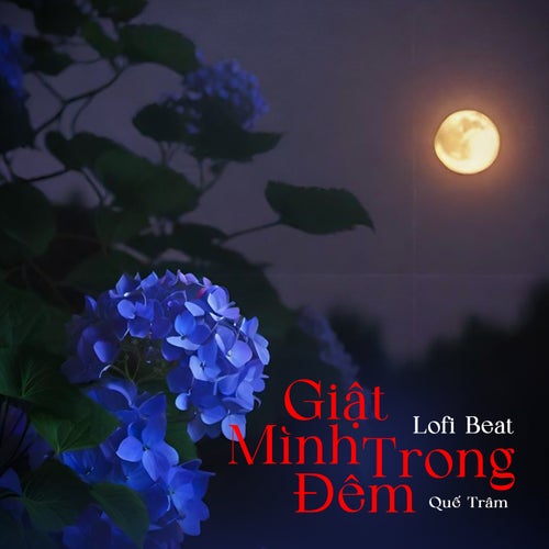 Giật Mình Trong Đêm (Beat) (Lofi Mix)