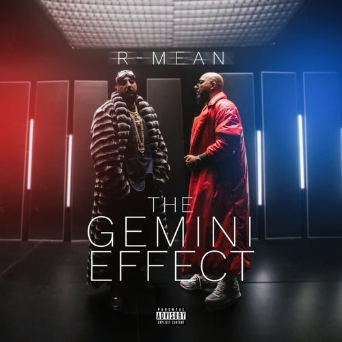The Gemini Effect