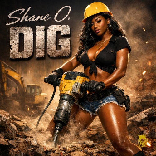 DIG